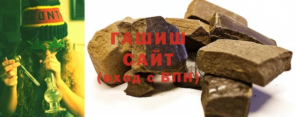 гашик Дмитров