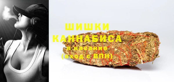гашик Дмитров