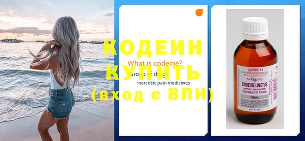 гашик Дмитров