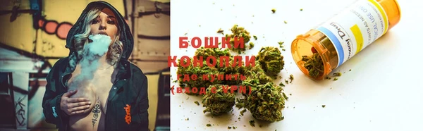 гашик Дмитров