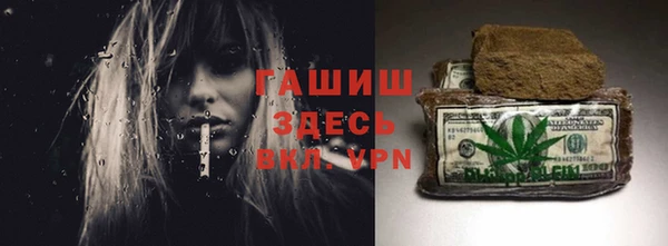 гашик Дмитров