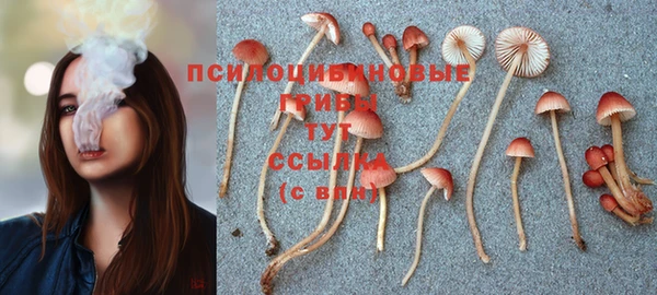 мескалин Дмитриев