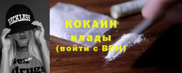гашик Дмитров