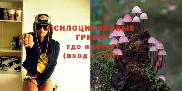 гашик Дмитров