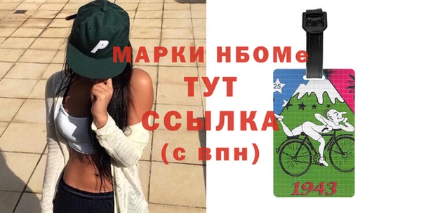 гашик Дмитров