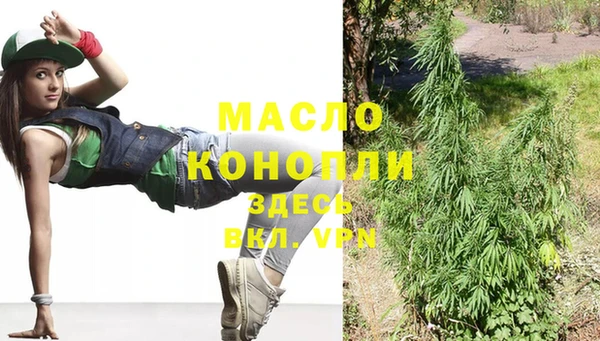 гашик Дмитров